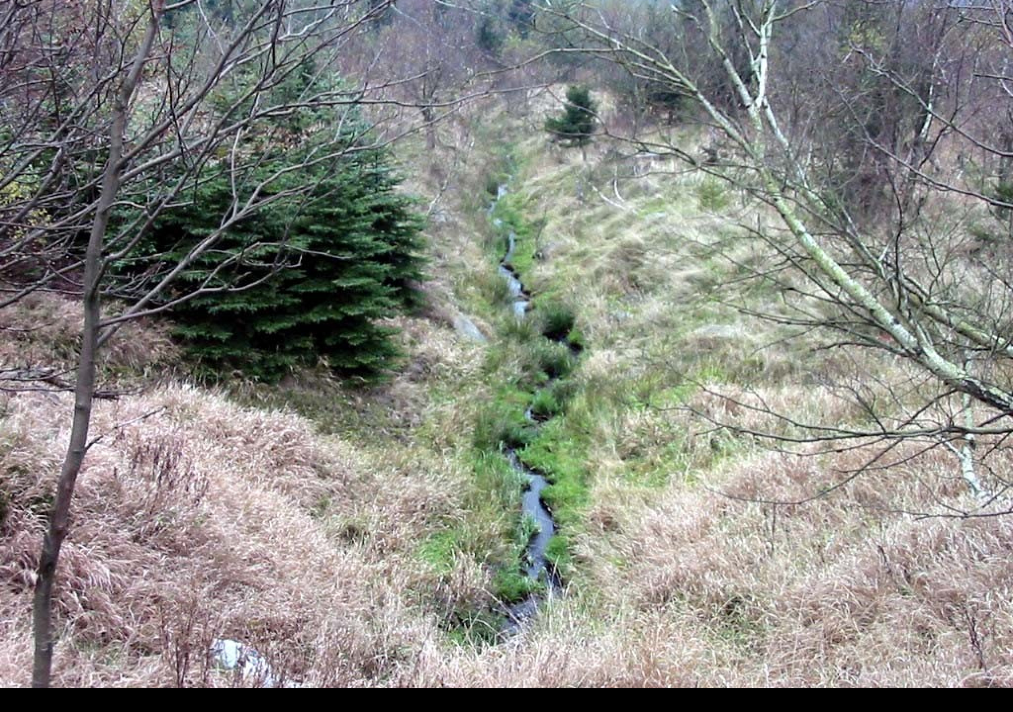 Tapeta bystrina