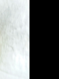 Tapeta cala_k_narozeninam