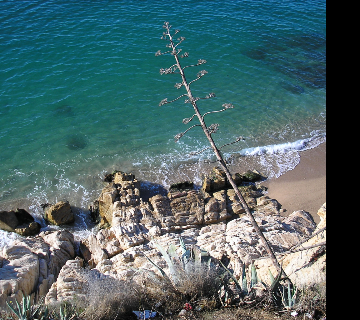 Tapeta calella_maly_utes_1