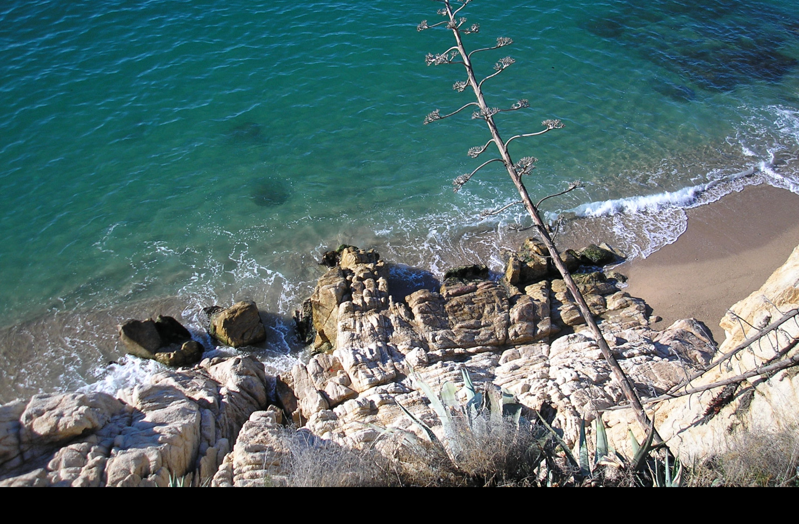 Tapeta calella_maly_utes_1