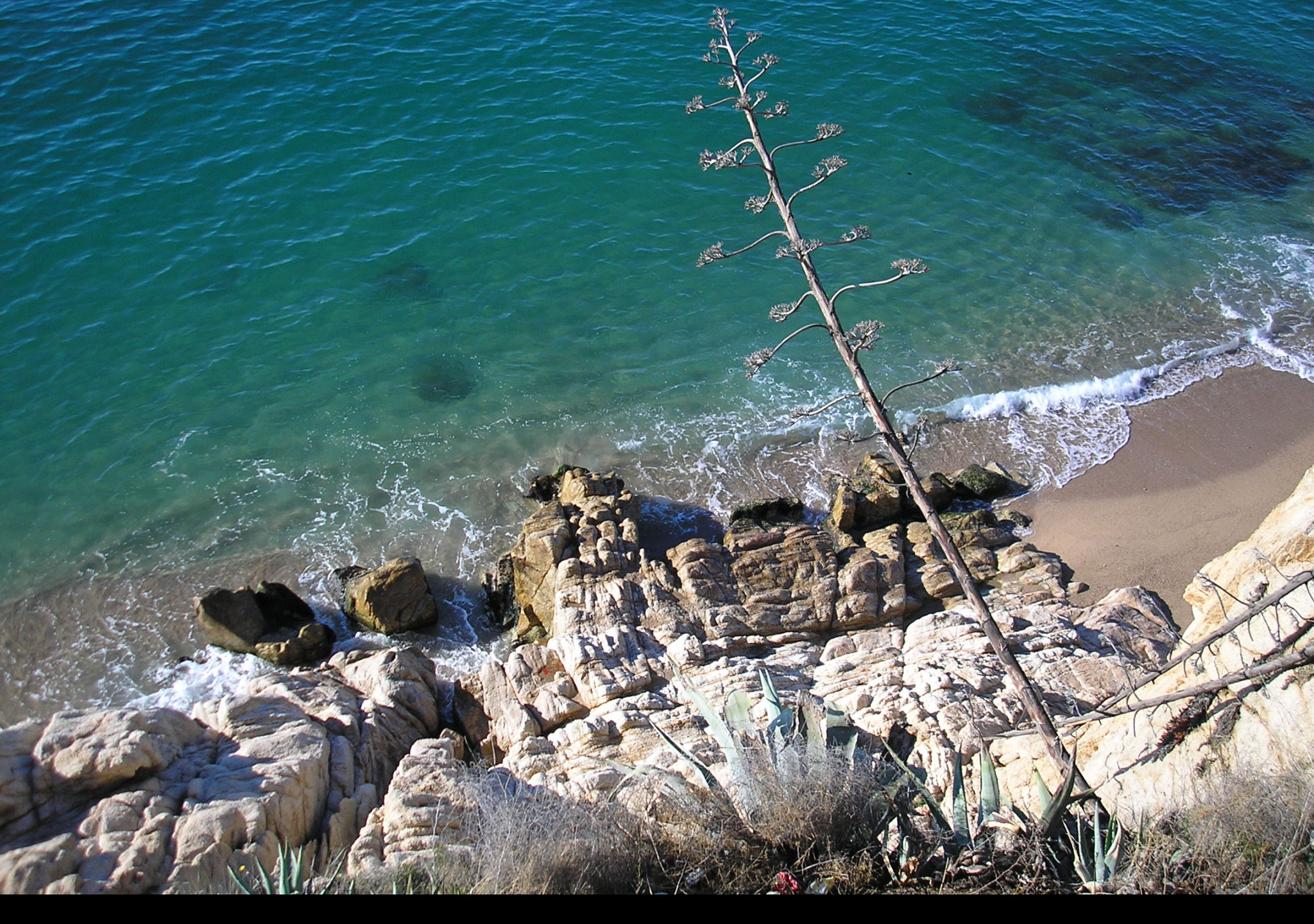 Tapeta calella_maly_utes_1