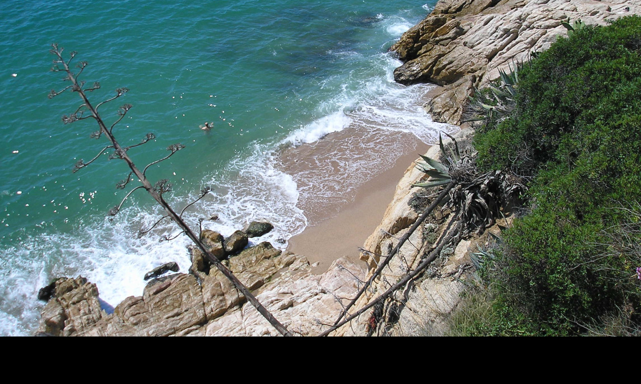 Tapeta calella_utesy