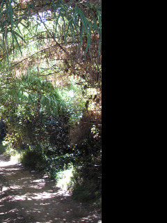 Tapeta calella_zakouti_5