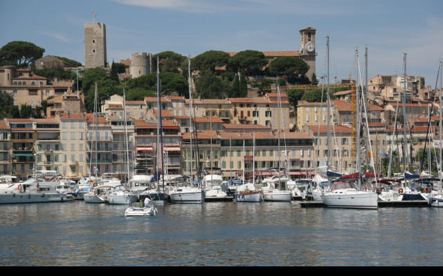 Tapeta cannes