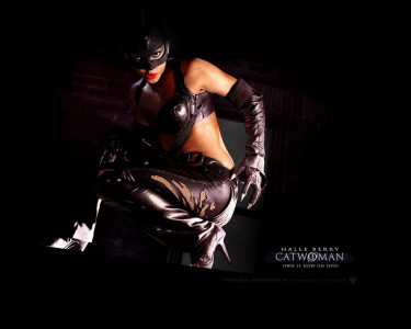 Tapeta: Cat Woman 2