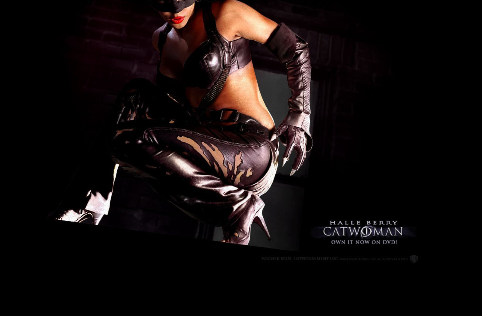 Tapeta catwoman2