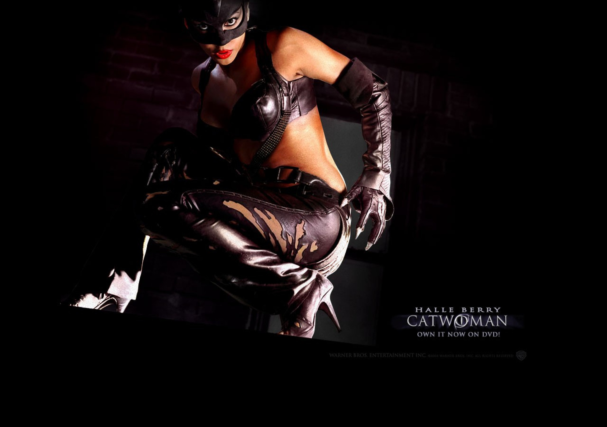 Tapeta catwoman2