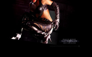 Tapeta catwoman2