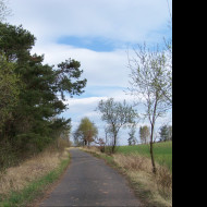 Tapeta cesta_jarni_krajinou