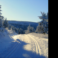 Tapeta cesta_v_zime