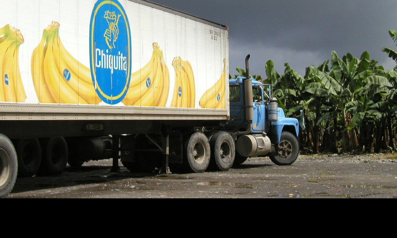 Tapeta chiquita