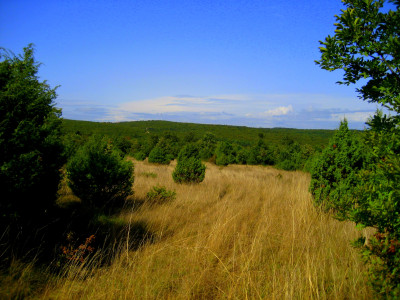 Tapeta: Chorvatsko- Rabac