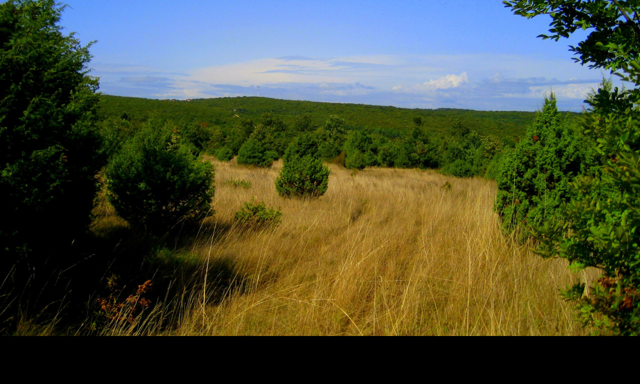 Tapeta chorvatsko__rabac