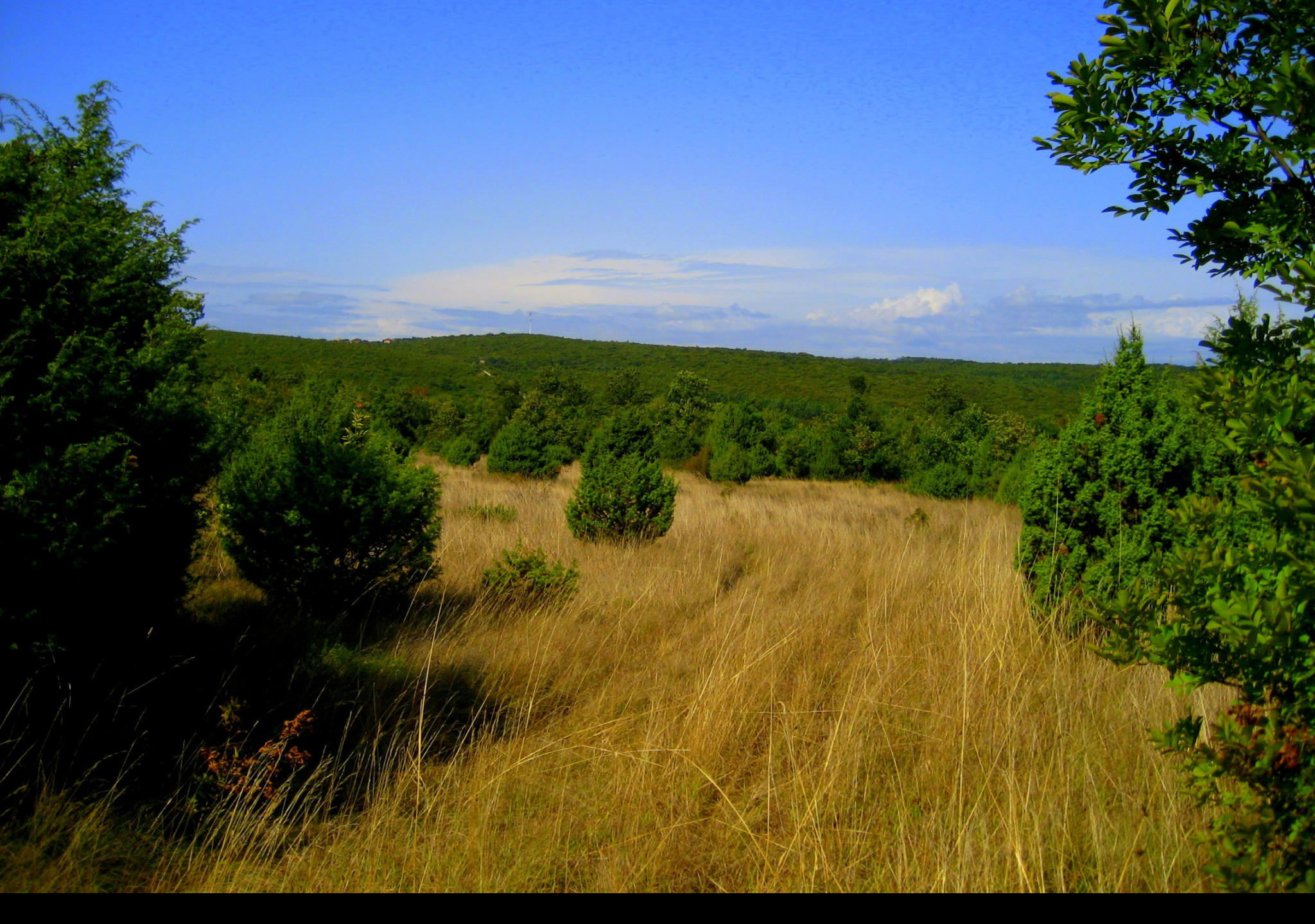 Tapeta chorvatsko__rabac