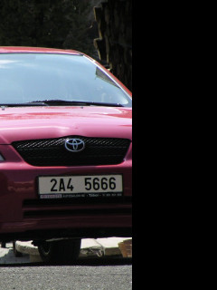 Tapeta corolla