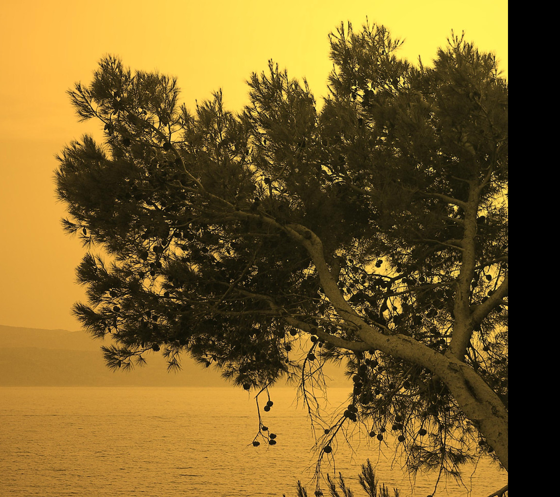 Tapeta croatia15