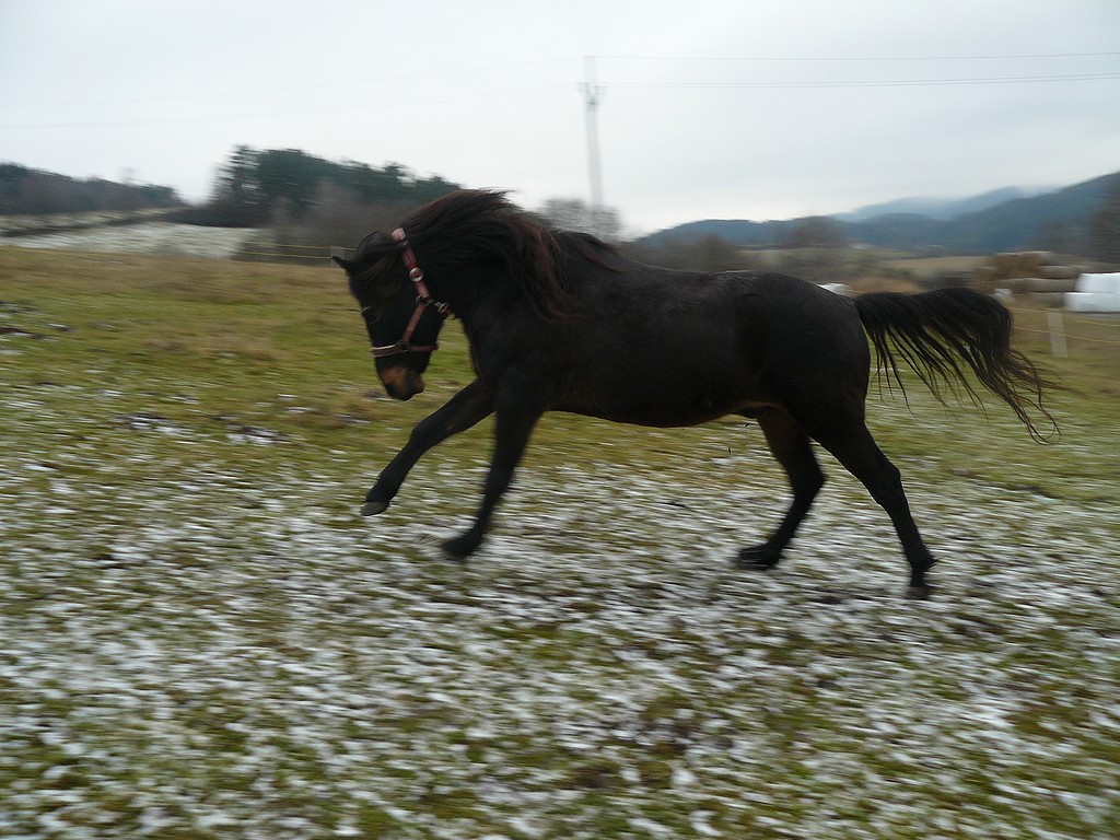 Tapeta cvalajici_blesk