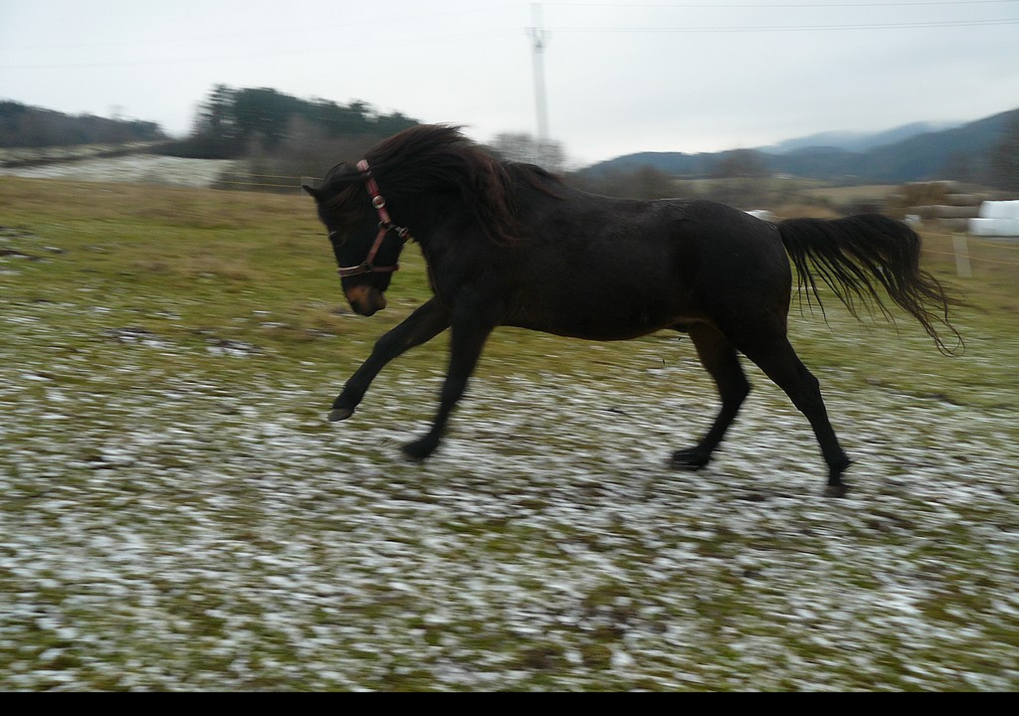 Tapeta cvalajici_blesk