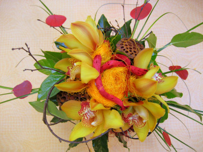 Tapeta: Cymbidium