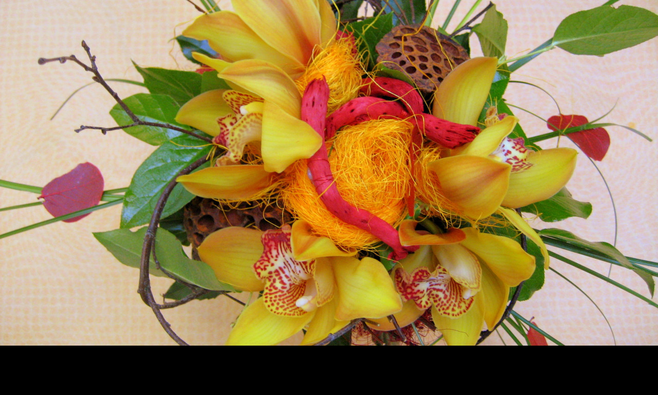 Tapeta cymbidium