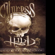 Tapeta cypress_hill