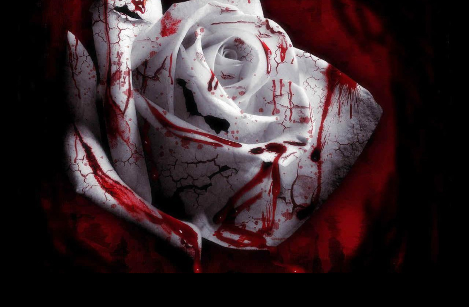 Tapeta dark06