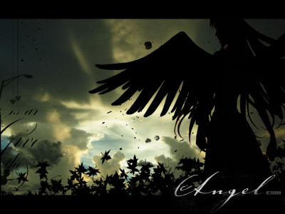 Tapeta: dark angel