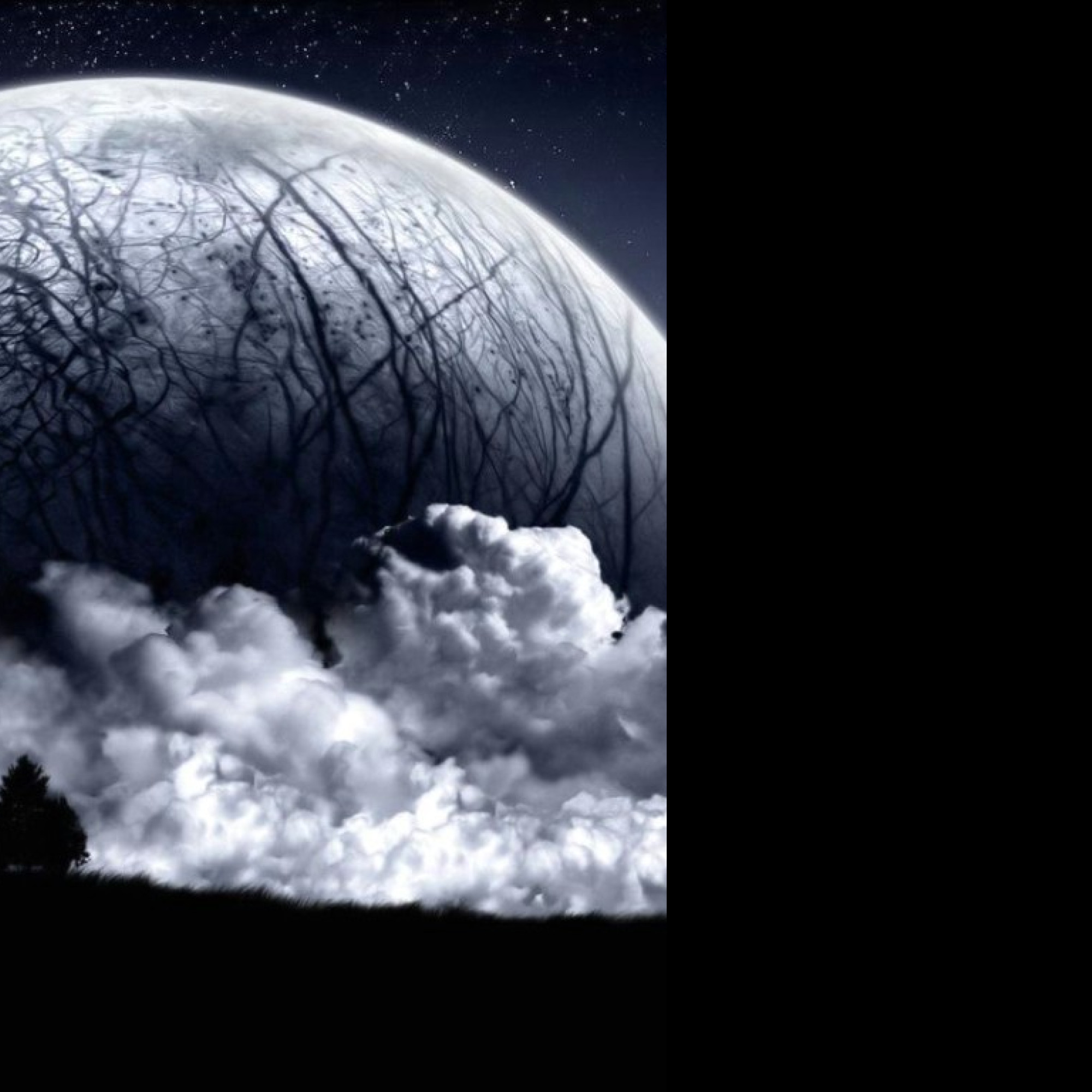 Tapeta dark_venus