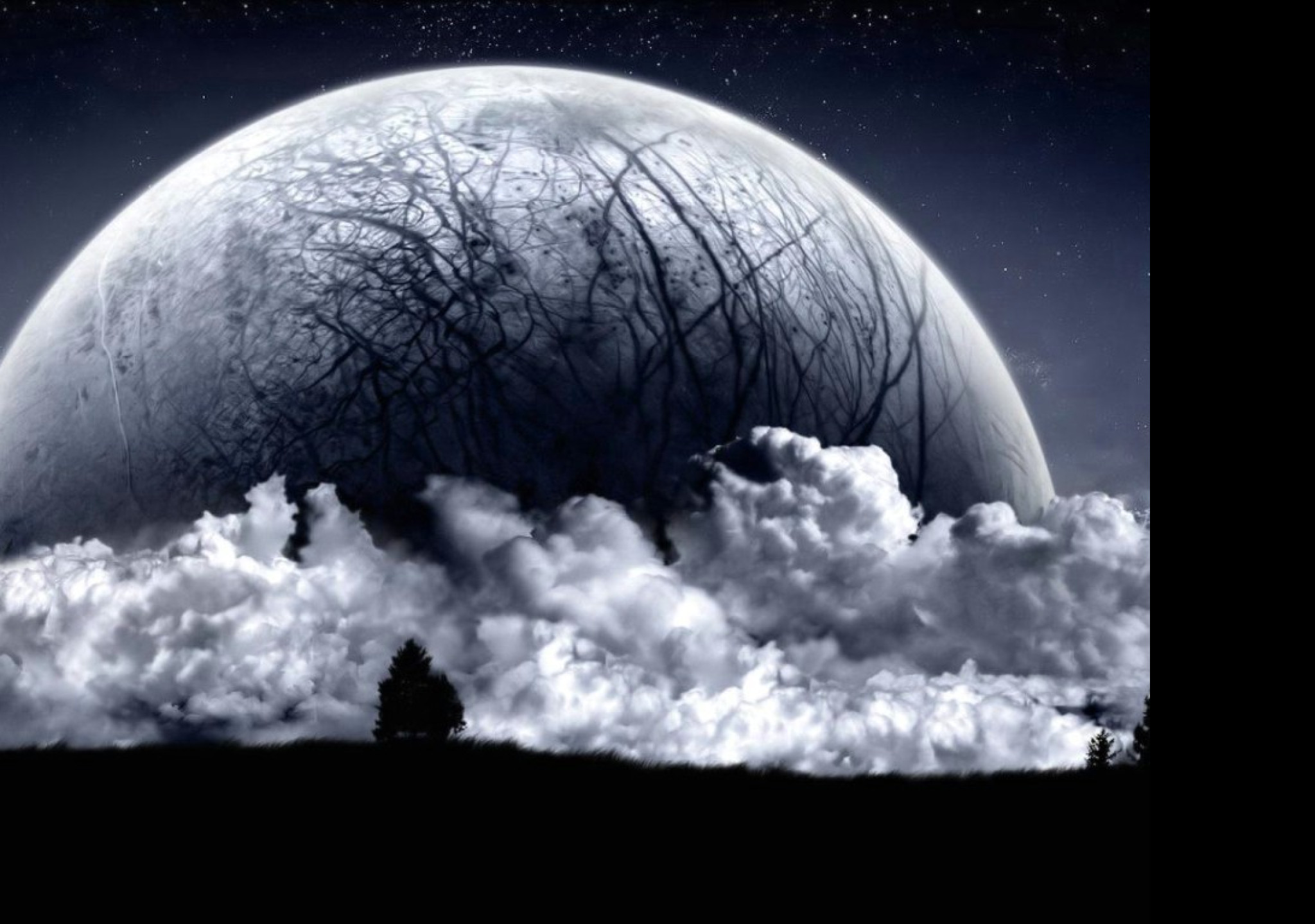 Tapeta dark_venus