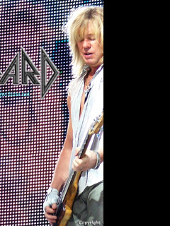 Tapeta def_leppard_13