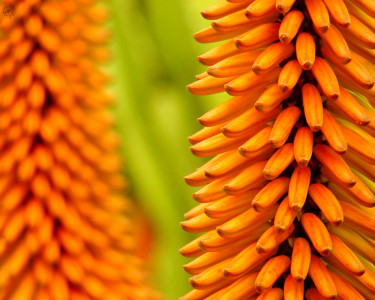 Tapeta: Depth of Field V3