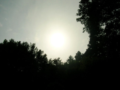 Tapeta: Detail slunce v mlze