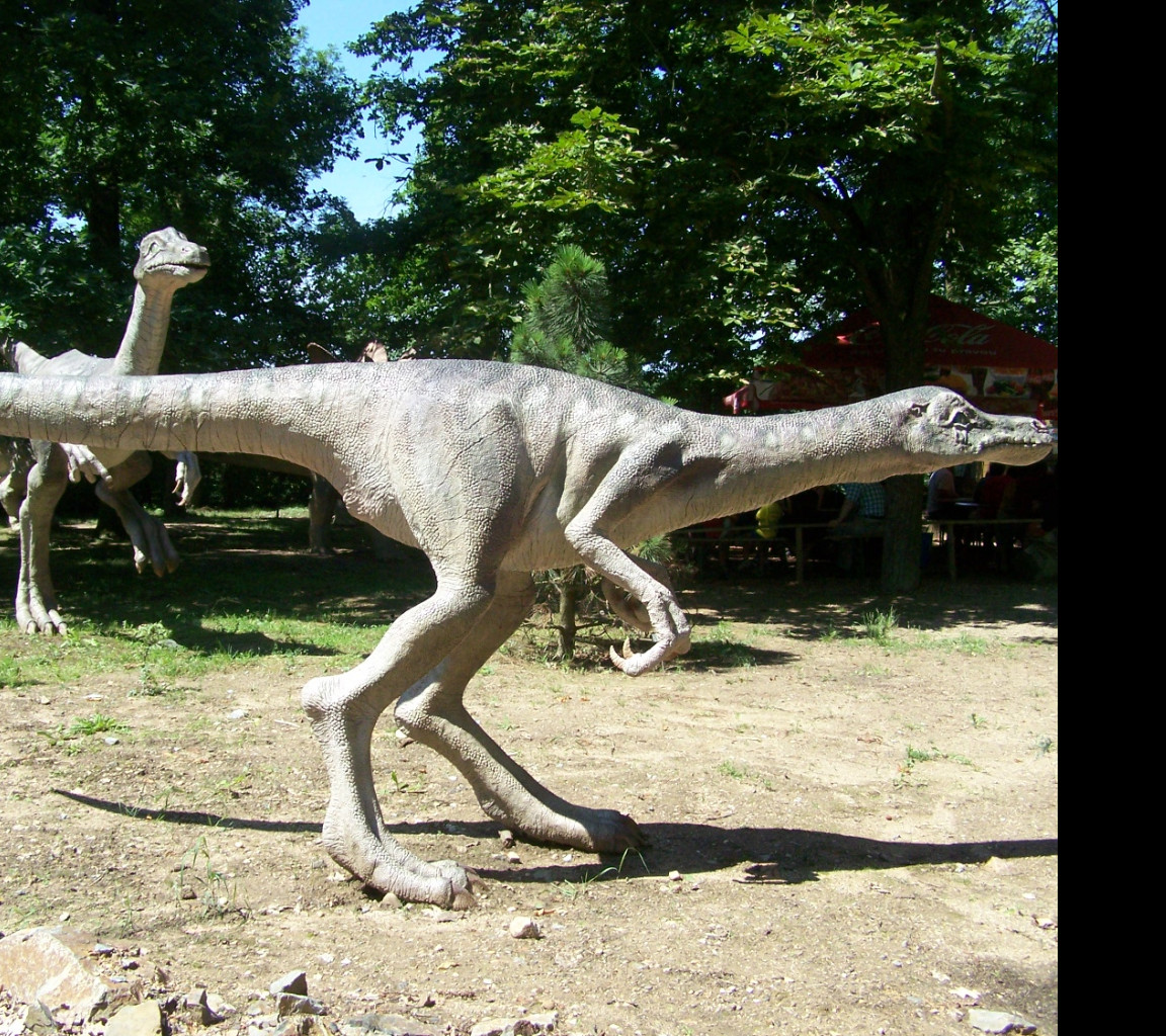 Tapeta dinipark