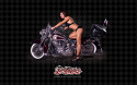 Tapeta Dvka na Harley Davidson 