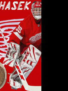 Tapeta dominik_hasek
