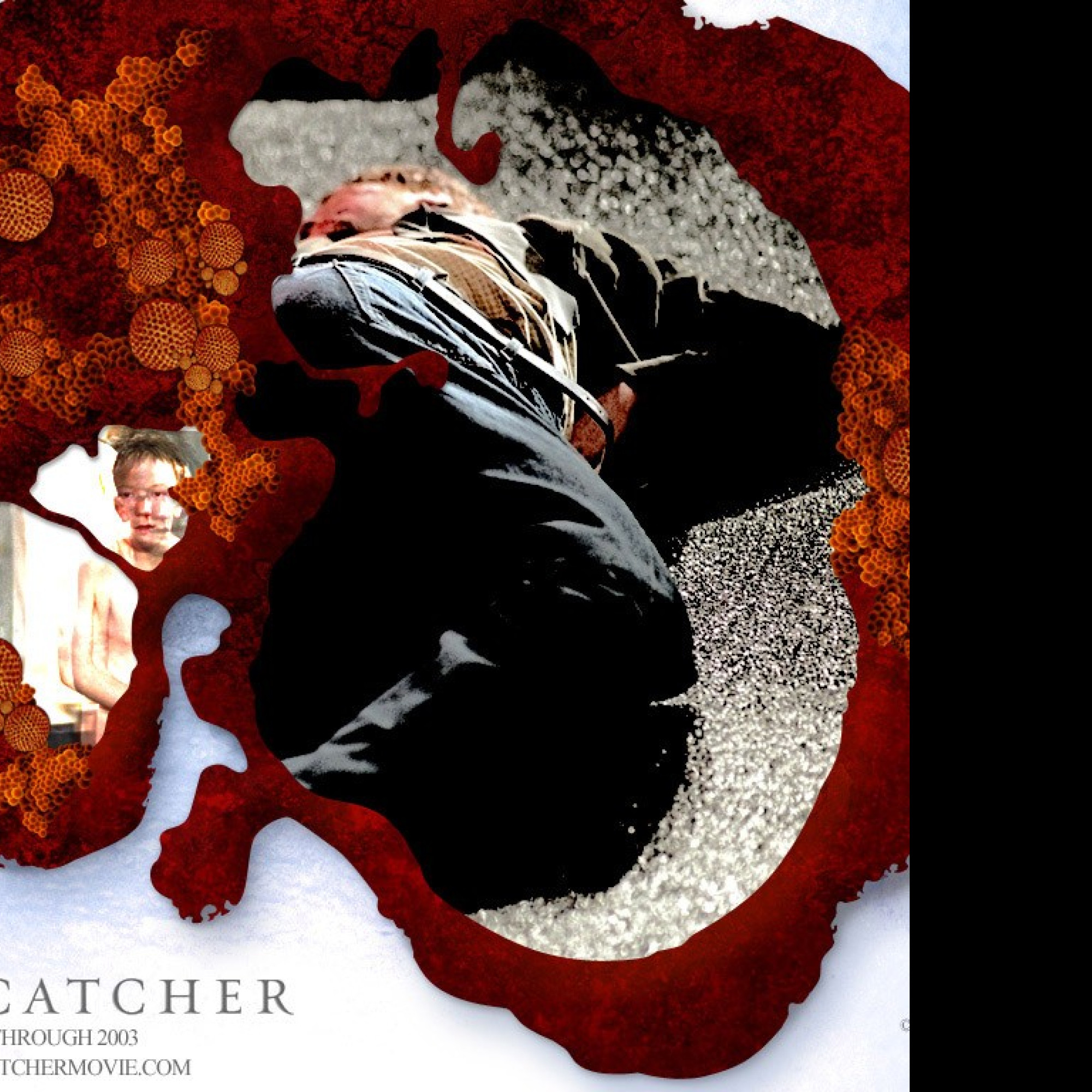 Tapeta dreamcatcher