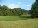 Tapeta Druhy zelen
