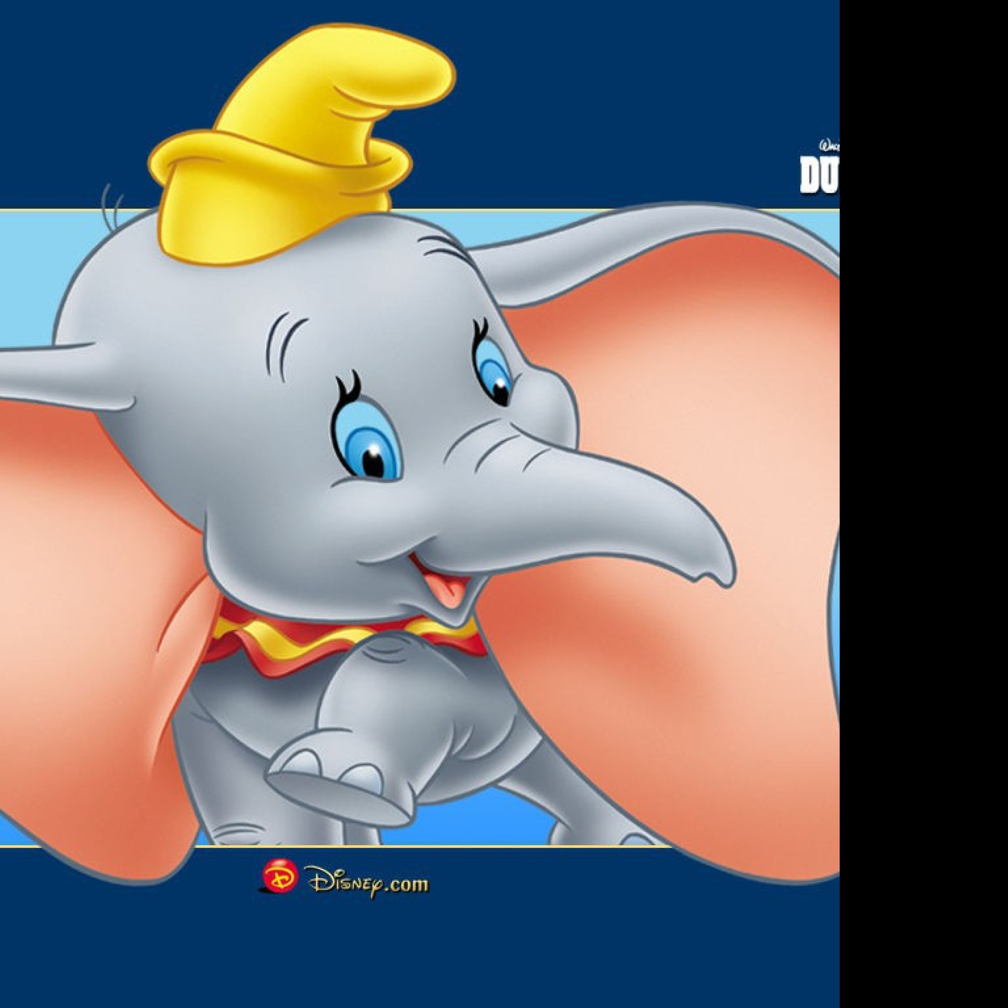 Tapeta dumbo