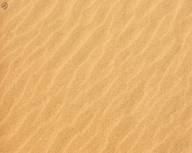 Tapeta: Dune