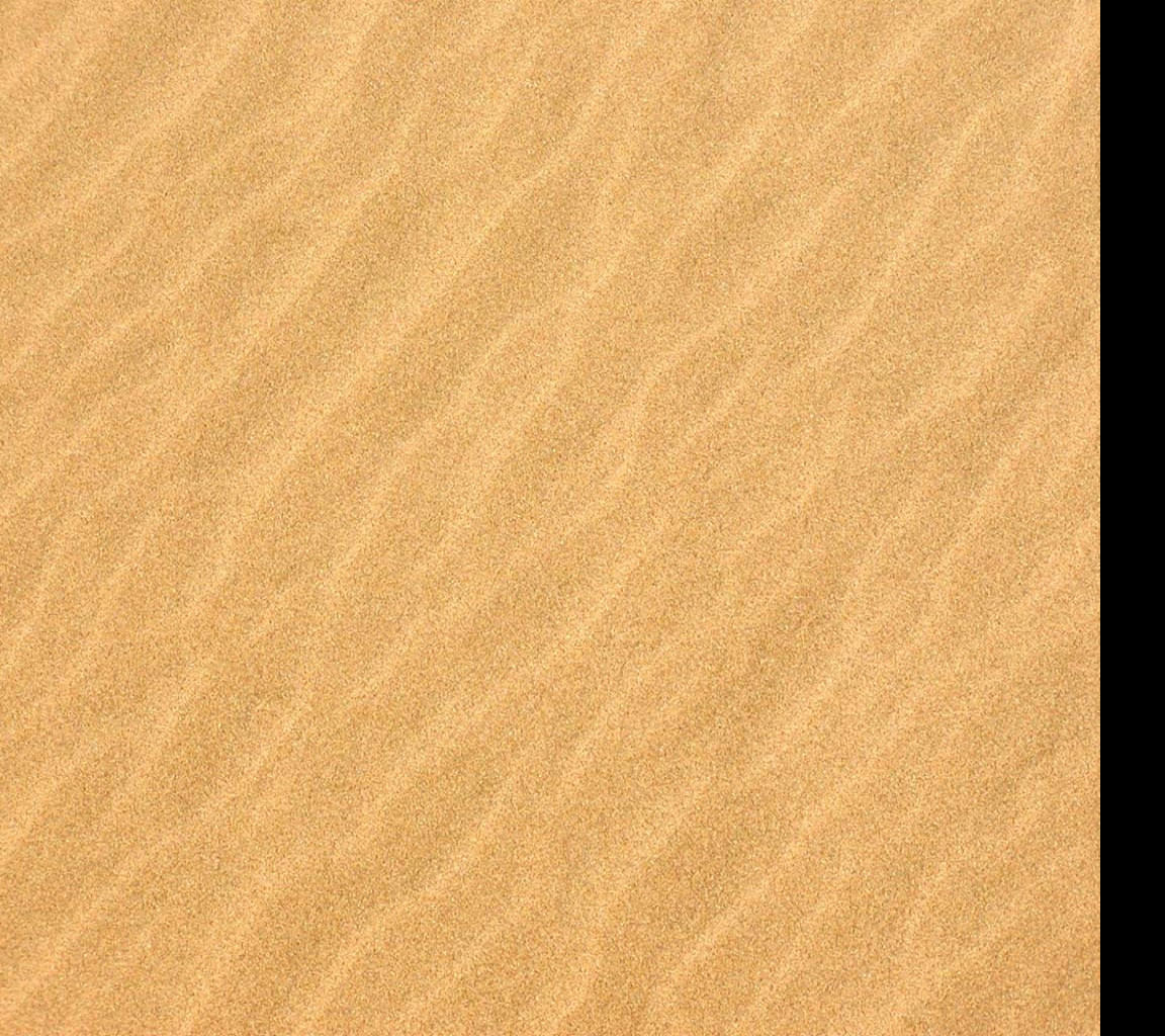 Tapeta dune
