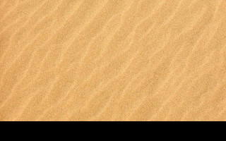 Tapeta dune