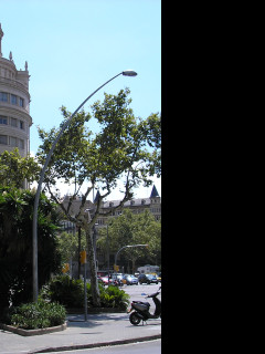 Tapeta e_barcelona_25