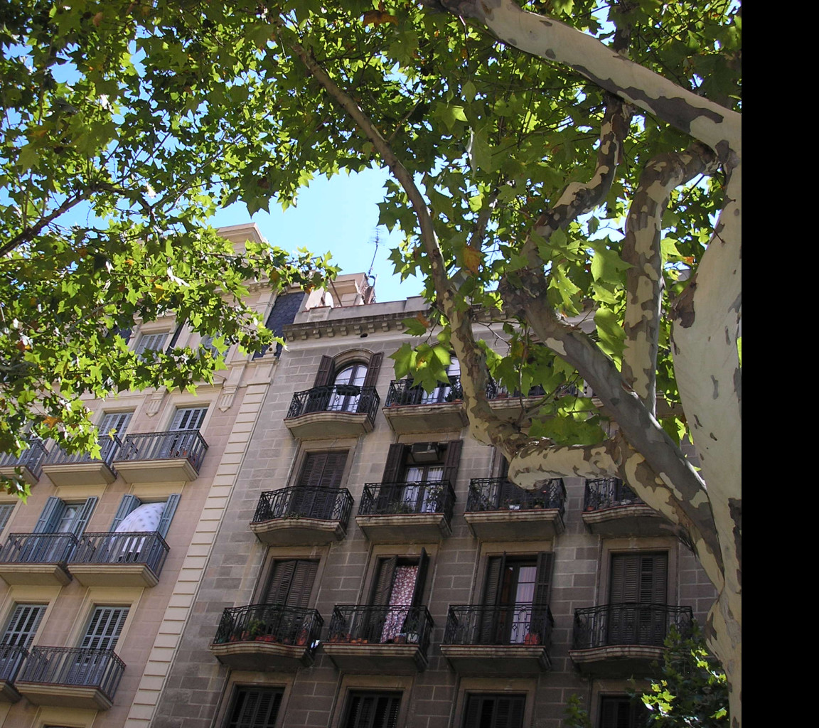 Tapeta e_barcelona_27