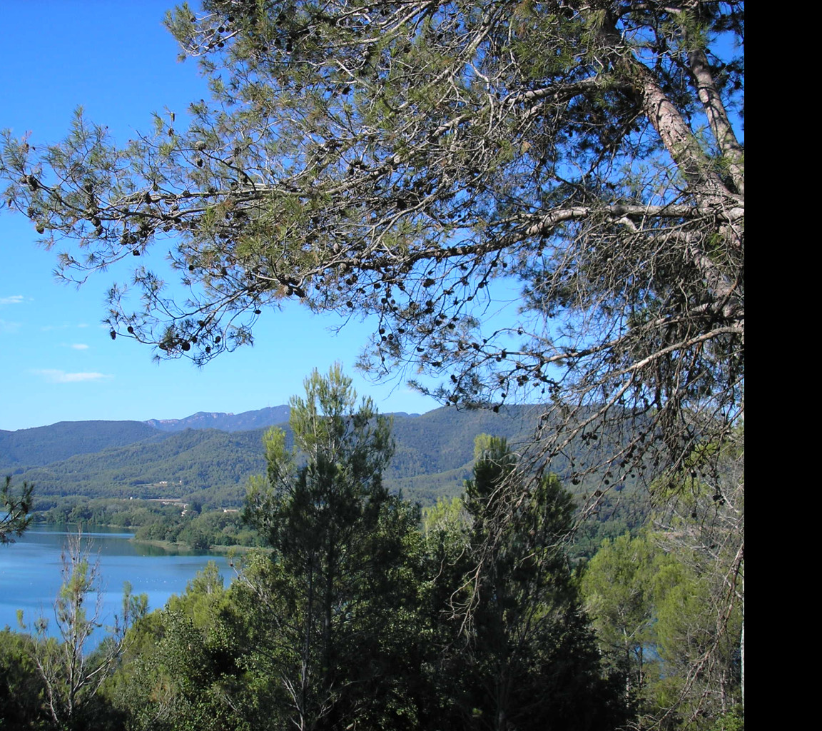 Tapeta e_lago_de_banyoles_1