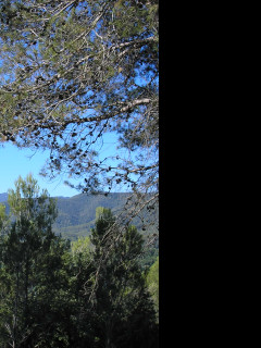 Tapeta e_lago_de_banyoles_1