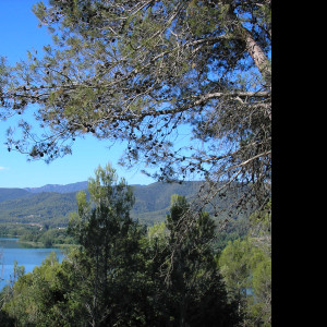 Tapeta e_lago_de_banyoles_1