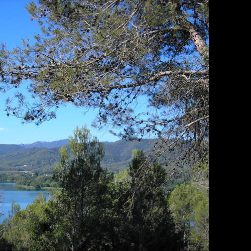 Tapeta e_lago_de_banyoles_1