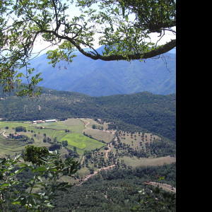 Tapeta e_zona_volcanica_garrotxa_09