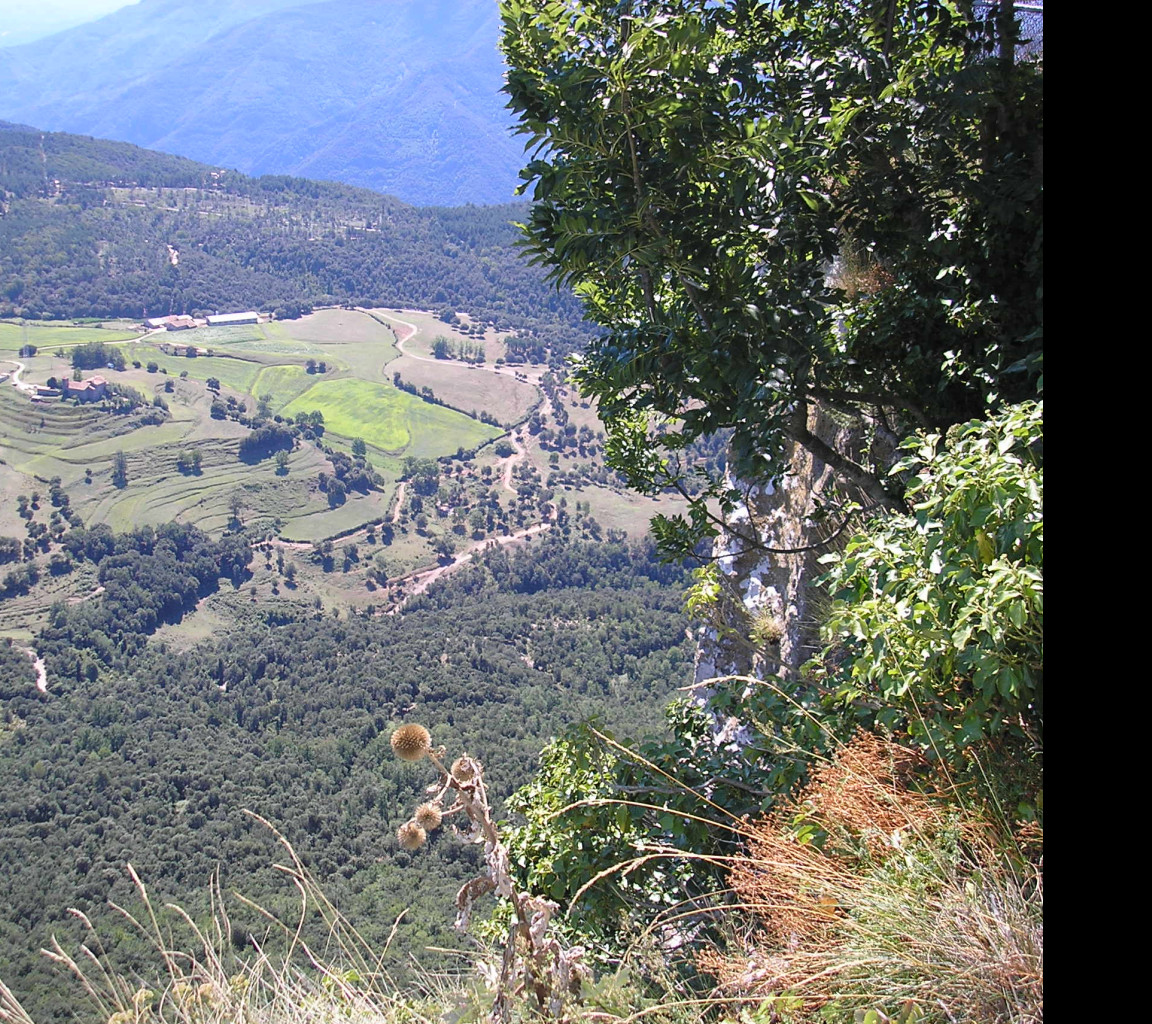 Tapeta e_zona_volcanica_garrotxa_13