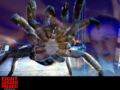 Tapeta: Eight Legged Freaks